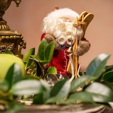 Apartman Moritz With Sauna Mozirje